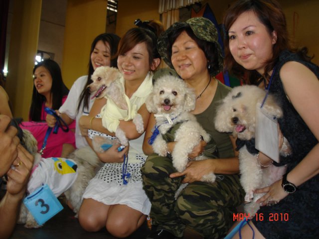 Pemenang pertandingan anjing sihat di karnival SPCA di Bukit Mertajam pada 16-5-2010